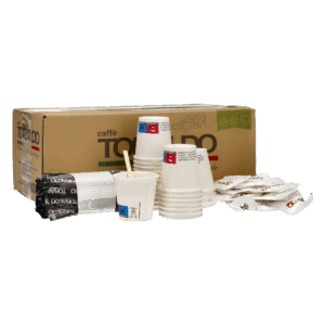 Toraldo Kit Accessori 100 Pezzi