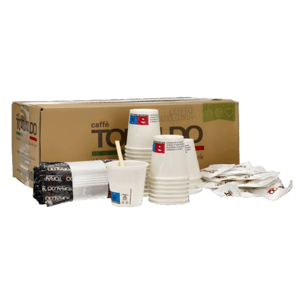 Toraldo Kit Accessori 100 Pezzi